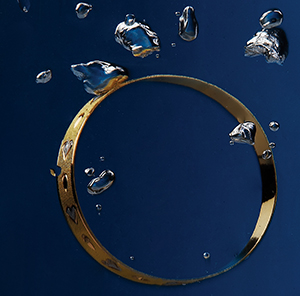 Portfolio Image