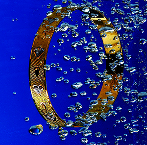 Portfolio Image